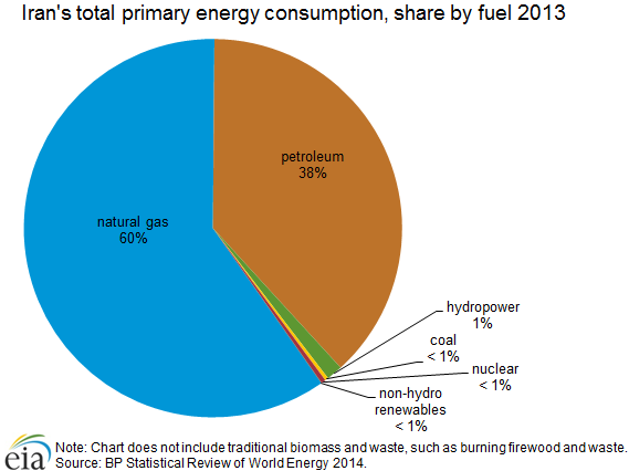 Iran's total primary energy consumption, share by fuel, 2013