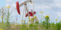 Environmental Stewardship
